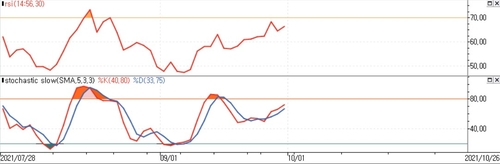 출처: 연합인포맥스