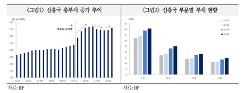 [국제금융센터·IIF 제공]