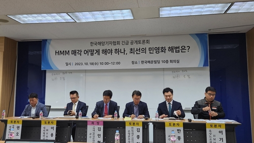 "HMM 인수전, 영구채 불확실성 해소해야 '적정 기업' 들어올 것"_김학성