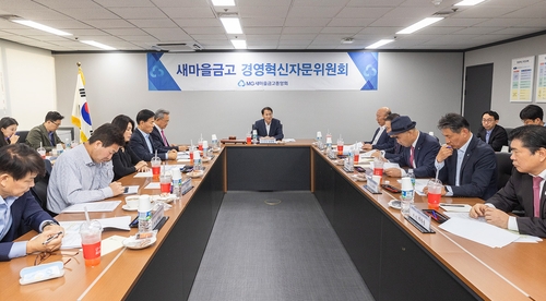새마을금고, 지배구조·건전성 혁신안 내달 확정_이수용