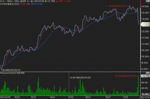 구글, 주가 폭락에 나이키 시총 증발…역대 5번째 규모_진정호