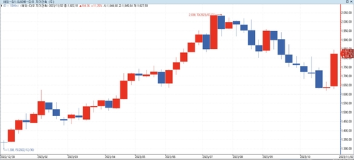미국채 금리 반락 수혜 제대로…연중 최고 랠리 美 주택 건설주_이재헌