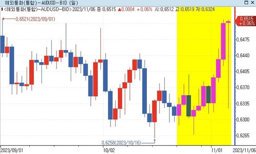 전문가들 "RBA, 이달 금리 인상 안하면 시장은 인하 반영"_강수지