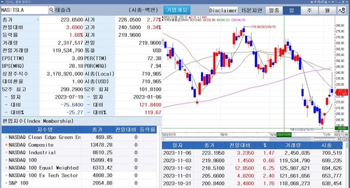 테슬라 저가형 신차 출시 소식에 강세…5일 연속 상승_배수연