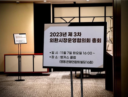 환시 선진화 앞두고 당국, 시장과 소통…"RFI 경계 목소리도"_정선미