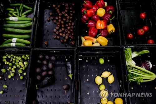 독일 12월 CPI 전년비 3.7% 상승…예비치 부합(상보)_강수지