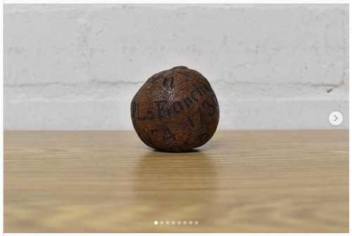 [딜링룸 백브리핑] 285년 된 레몬, 경매로 234만원에 팔려_윤시윤