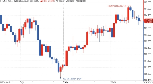 개인, 달러약세 2X ETF 베팅…현재 '손실' 중_김용갑