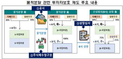 지난해 물적분할 추진 상장사 19곳…금감원 미흡사례 개선_온다예