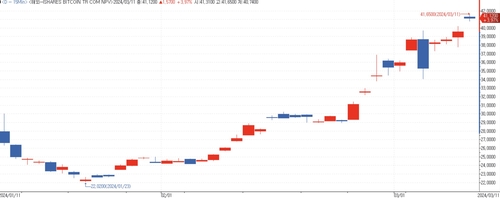서울환시 "비트코인, 위험선호 지표…김치 프리미엄, 달러 매수 요인"_김용갑