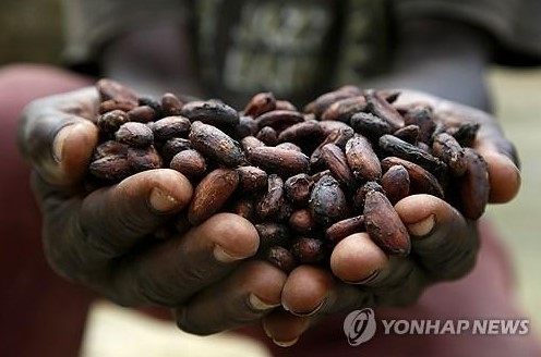 코코아 가격 폭등…사상 첫 1만달러 돌파_진정호