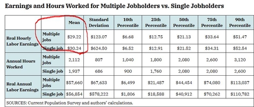 단일 직업과 다중 직업 보유자의 소득 비교