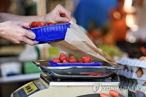 독일 4월 합성 PMI 50.5…"확장세 전환에 금리 인하 의지 시험"(상보)_윤시윤