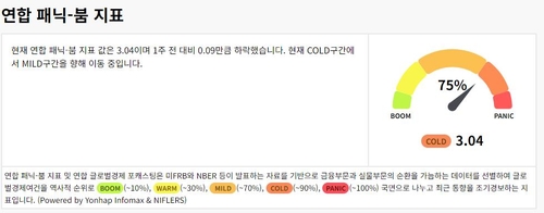 연합 패닉-붐, 침체 신호 소폭 개선…"하반기 리스크 징후도"_윤시윤