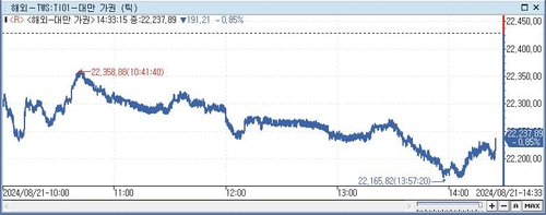 [대만증시-마감] 빅 이벤트 앞두고 관망심리·美 증시 부진에 하락_이지윤