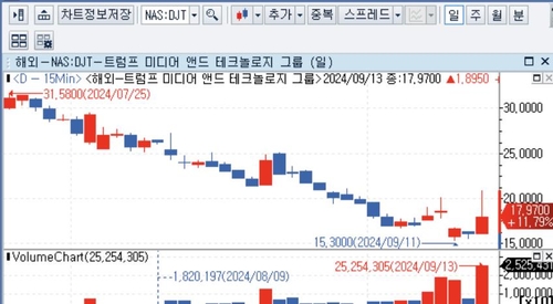 곤두박질치던 '트럼프미디어' 주가가 급반등한 까닭은_배수연