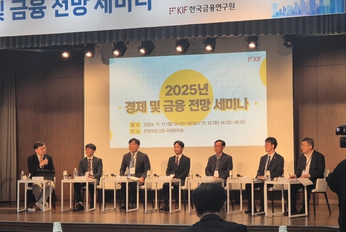 한은 조사팀장 "내년 내수 개선…반도체·트럼프는 리스크"_윤은별