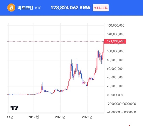 "트럼프 2기는 가상자산 새 도약기"…국내보다 더 뜨거운 글로벌 비트코인 투자열기_장순환