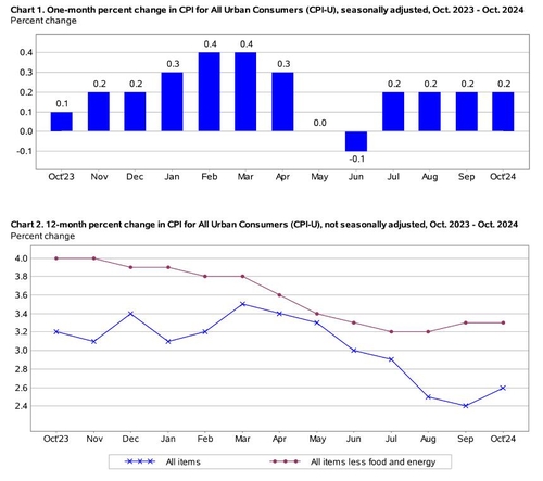 미 10월 CPI 전월대비 0.2%↑…예상 부합(종합)_임하람