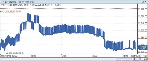 [대만증시-마감] 반도체주 약세로…0.96%↓_이세진