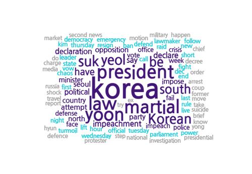 [탄핵정국 외투기업-①] "쿠데타 난 줄 알았다"…혼란 빠진 韓주재 기업들_김경림