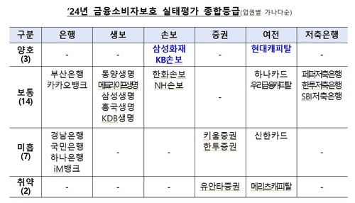 금감원 "유안타증권·메리츠캐피탈, 소비자보호체계 보완 필요"_윤슬기