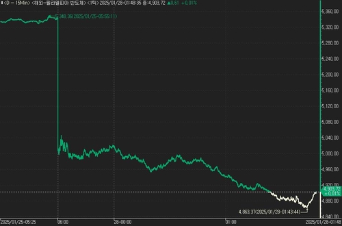 '딥시크 쇼크'에 필리 반도체 지수 붕괴…8.5%↓_진정호