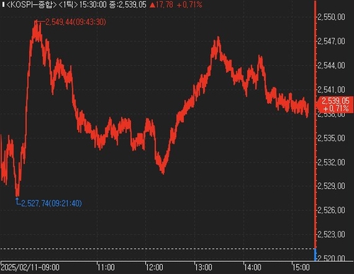 '트럼프 관세 이슈에 내성' 코스피 0.7% 상승 마감_한상민