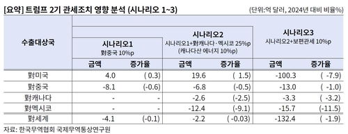 트럼프 관세 韓 영향, 계산기 두드려보니…"보편관세만 아니라면"_남승표
