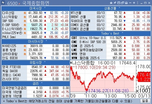 [뉴욕 마켓 브리핑](3월13일)_강수지