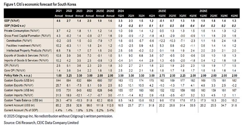 씨티, 韓성장률 전망 1.0%로 낮췄다…"3분기 20조 추가 추경"_손지현