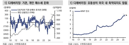 '셀 USA' 부른 구조적 유동성 변화 3가지…"위험회피 성격 이상"_노요빈