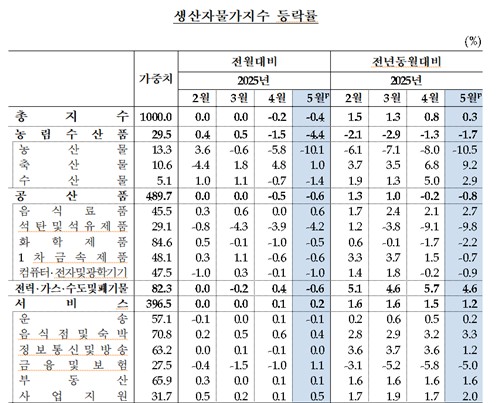 생산자물가, 두달 연속 하락…농산물·유가하락에 5월 0.4%↓_손지현