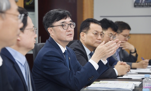 기재차관 "추경 신속집행 위해 꼼꼼하고 철저히 준비"_박준형