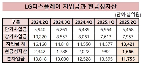 '재무 개선' 속도내는 LGD, 차입금 축소 목표 '조기 달성'_유수진