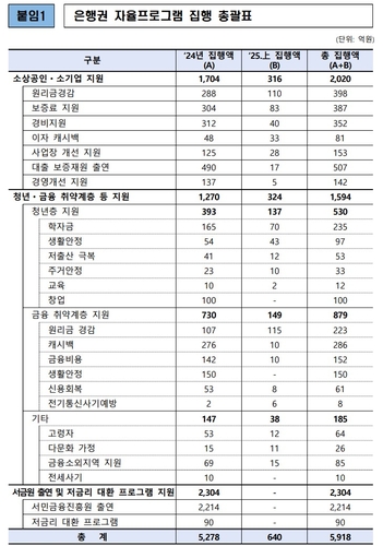 은행권, 민생금융 자율프로그램 5천918억 집행…목표액 96% 달성_한상민