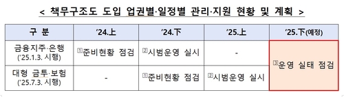 금감원, 44개 금융지주·은행 대상 책무구조도 운영실태 현장점검_윤슬기