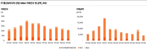 얼어붙었던 '통신·IT' M&A 시장…하반기 AI가 재점화할까_최정우