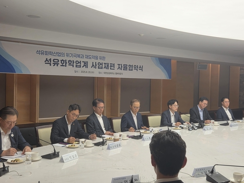 정부, 석화산업 구조개편 시동…연말까지 업계 자구책 마련한다(종합)_윤은별