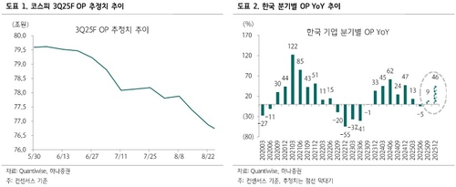 "코스피, 실적·환율 부담…'배당세 인하'가 유일한 반등 요인"_이규선