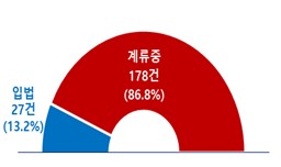 대한상의 "경제형벌 전면 재검토해야"_정수인
