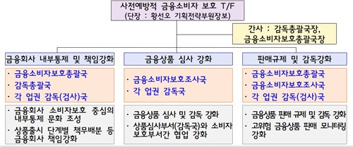 금감원, 금융소비자보호 강화 TF 운영…'상품 심사·판매규제 강화'_윤슬기