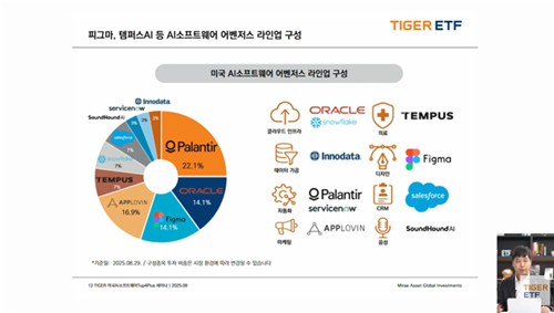 TIGER 미국AI소프트웨어TOP4Plus 종목 구성