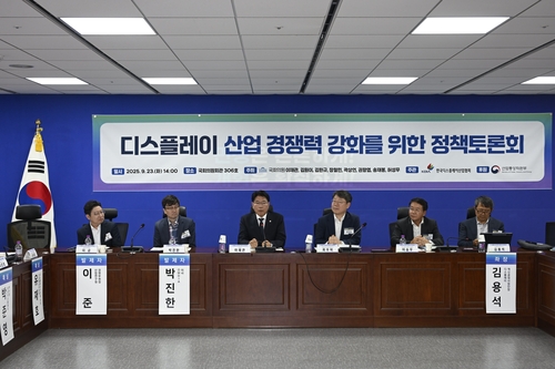 中 정부가 디스플레이 원가 40% 지원…"이기기 위한 대책 필요"_김학성