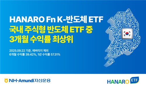 삼전·하닉 비중 최대로 담은 HANARO K반도체 ETF 수익률 1위_노요빈