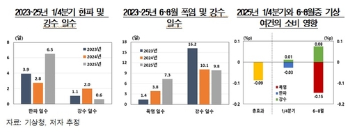 한은 "올해 한파·폭염 등 기상악화로 민간소비 0.09%p 줄여"_오진우