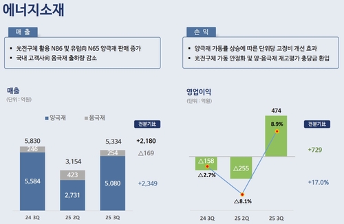 포스코퓨처엠, 3Q 어닝 서프라이즈…이익률 3년래 최고(종합)_이재헌
