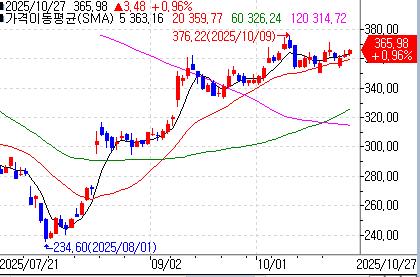 유나이티드헬스 그룹의 주가 흐름 