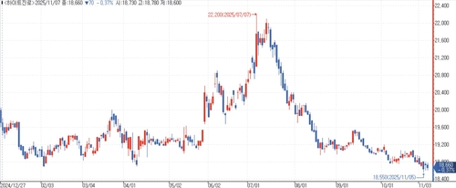 하이트진로, 3Q 영업익 12% 감소 전망…"맥주시장 침체"_김용갑