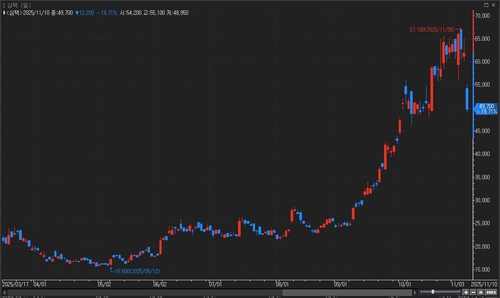 반도체 PCB 기업 심텍, 3분기 '어닝 쇼크'에 장 초반 20% 가까이 급락_이규선
